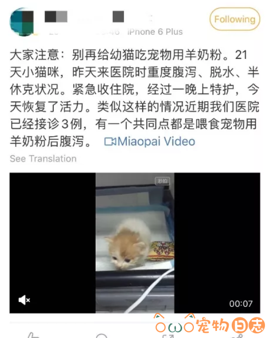 猫咪可以喝牛奶吗