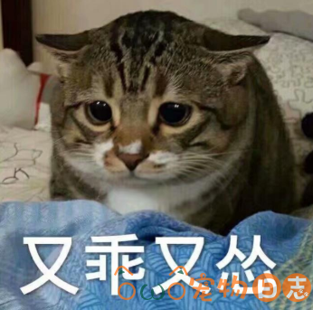 猫咪是怎么得耳螨的